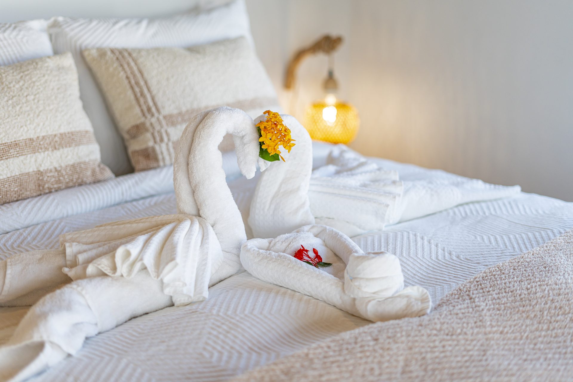 Towel swans with flowers on the Tarpon Room bed